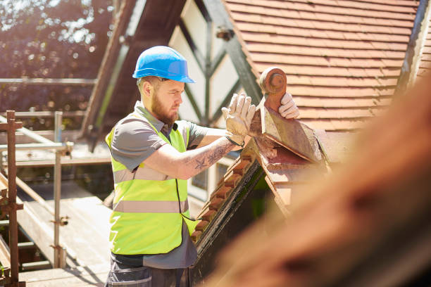 Best Roof Gutter Cleaning  in Palm Valley, FL